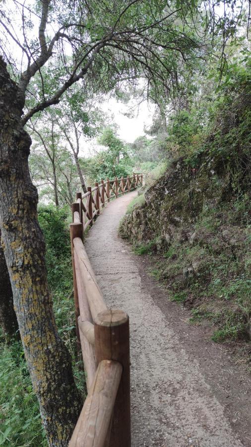洛索亚河畔布伊特拉戈Puente Viejo De Buitrago Casa Encina公寓 外观 照片